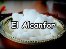 El alcanfor