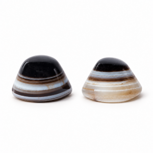 Ejemplos de Ojo de Shiva de ágata natural, cada piedra con colores y dibujos únicos